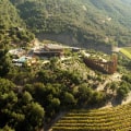 The Top Wineries in the World: A Wine Expert's Perspective
